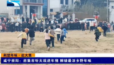 咸宁崇阳：逛集市听大戏逮年猪 解锁最浓乡野年味