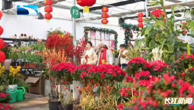 2026年2月7日长江新闻