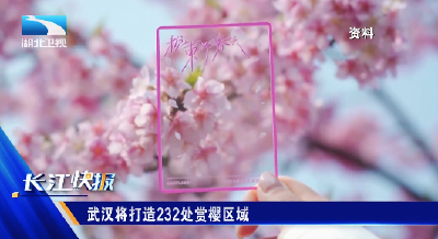 武汉将打造232处赏樱区域