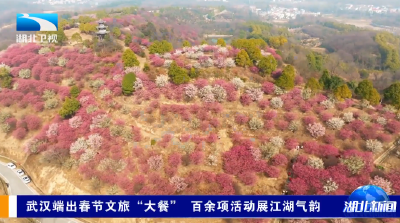 武汉端出春节文旅“大餐” 百余项活动展江湖气韵
