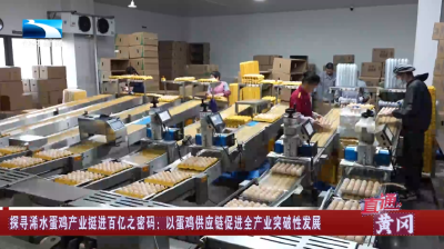 探寻黄冈浠水蛋鸡产业挺进百亿之密码：以蛋鸡供应链促进全产业突破性发展