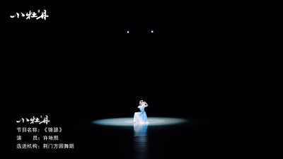 小牡丹—《锦瑟》