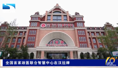 全国首家政医联合智慧中心在汉挂牌