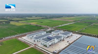 2026年2月5日湖北十分