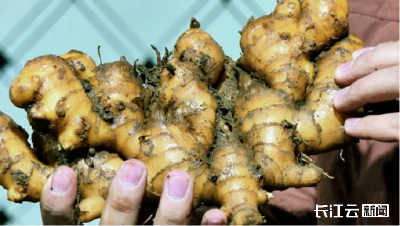 荆州江陵：“00后”“码农”返乡带富邻里