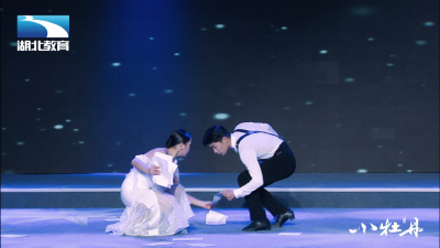 小牡丹—《再别康桥》