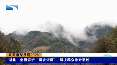 正风肃纪反腐2025｜湖北：全面惩治“蝇贪蚁腐” 解决群众急难愁盼