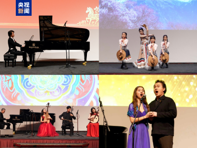总台春晚宣传片亮相中国驻汉堡总领馆春节招待会