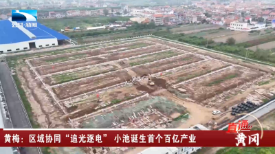 黄冈黄梅：区域协同“追光逐电” 小池诞生首个百亿产业