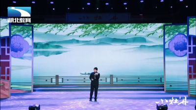 小牡丹—《汉宫春·立春日》