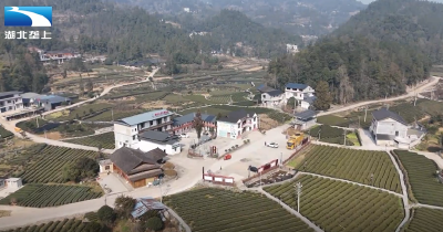 激活民宿经济   培育康养旅游新业态