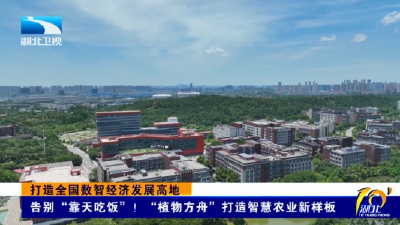 打造全国数智经济发展高地 | 告别“靠天吃饭”！“植物方舟”打造智慧农业新样板