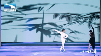 小牡丹—《无象》