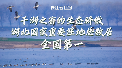 千湖之省的生态骄傲！湖北国家重要湿地总数居全国第一