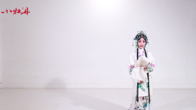 小牡丹—《牡丹亭·惊梦》【山坡羊】