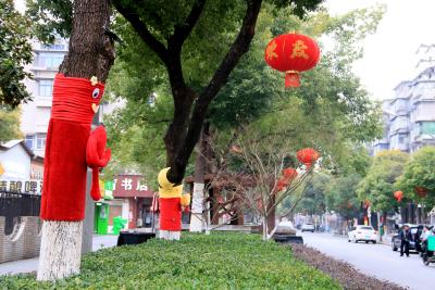 77棵行道树穿上“毛衣”，武汉这条网红美食街精细管理迎春节