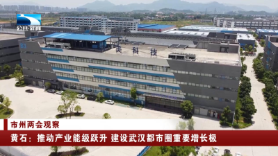 黄石：推动产业能级跃升 建设武汉都市圈重要增长极