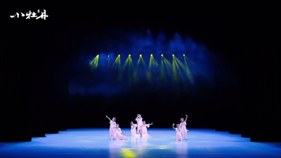 小牡丹—《城外小月亮》