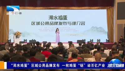“浠水鸡蛋”区域公用品牌发布 一枚鸡蛋“链”动百亿产业