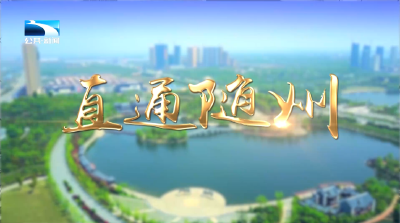 直通随州 | 红红火火过大年 随州各地年货节烟火气十足