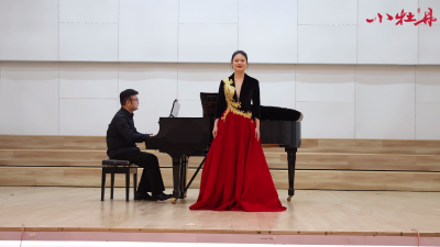 小牡丹—《念奴娇·赤壁怀古》