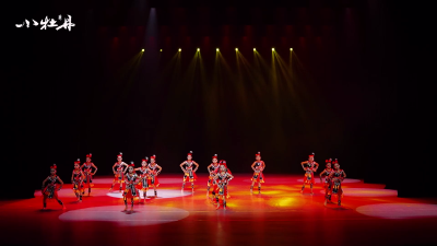 小牡丹—《摆摆手呀种春天》