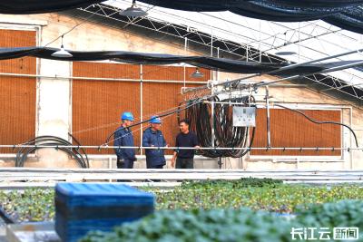 湖北随州：今年过年不等苗 “菜篮子”供应有保障