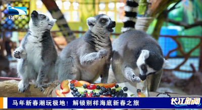 马年新春潮玩极地！解锁别样海底新春之旅