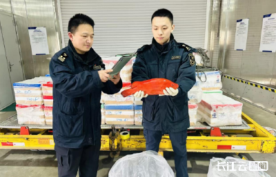 “火焰鱼”上桌，一摆就是好兆头