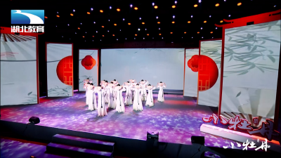 小牡丹—《一扇百年》