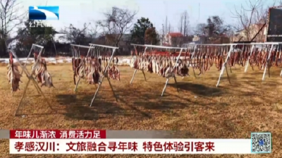 孝感汉川：文旅融合寻年味 特色体验引客来