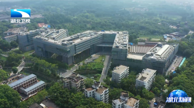 2026年2月12日湖北新闻