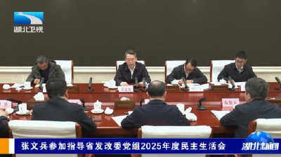 张文兵参加指导省发改委党组2025年度民主生活会