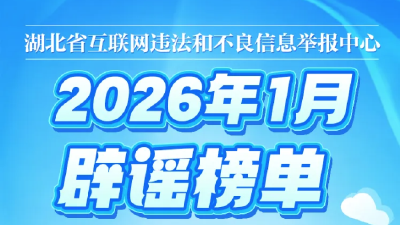 “鄂小豚”1月辟谣榜单来了！