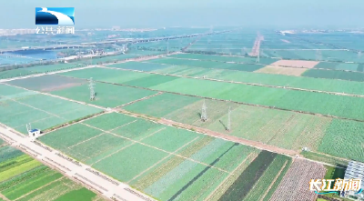 2026年2月4日长江新闻