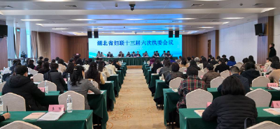 湖北发布2026年服务妇女儿童十件实事