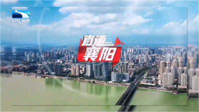 直通襄阳 | 年俗迎新春 共富启新程