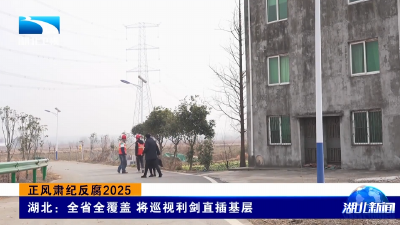 正风肃纪反腐2025 | 湖北：全省全覆盖 将巡视利剑直插基层