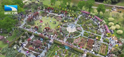 解读“十五五”规划纲要 | 湖北民生承诺让未来五年充满期待