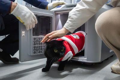 速度与温情——萌宠坐高铁体验中国春运