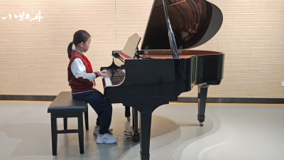 小牡丹—《西班牙小夜曲》