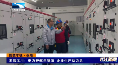 孝感汉川：电力护航年味浓 企业生产动力足