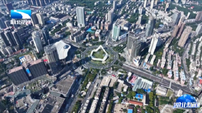 贯彻落实两会精神 奋斗在一线 | 加快构建具有全国影响力的科技创新高地  