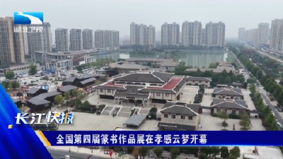 全国第四届篆书作品展在孝感云梦开幕