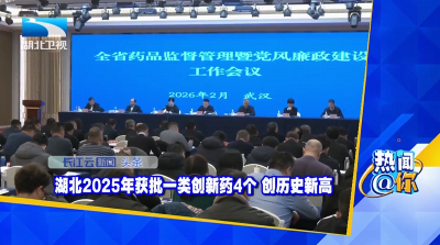 湖北2025年获批一类创新药4个 创历史新高