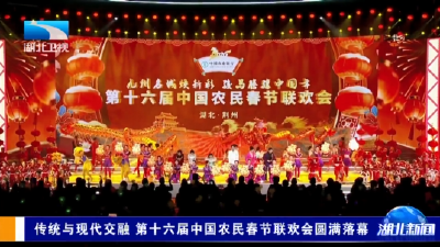 传统与现代交融 第十六届中国农民春节联欢会圆满落幕
