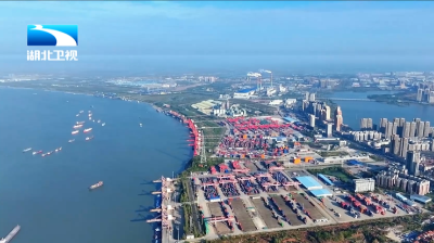 2026年2月11日湖北新闻