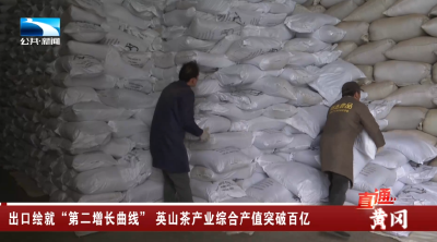 出口绘就“第二增长曲线” 黄冈英山茶产业综合产值突破百亿