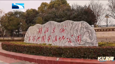 世界湿地日 襄阳宜城为候鸟“加餐”