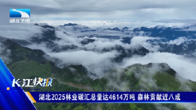 湖北2025林业碳汇总量达4614万吨 森林贡献近八成